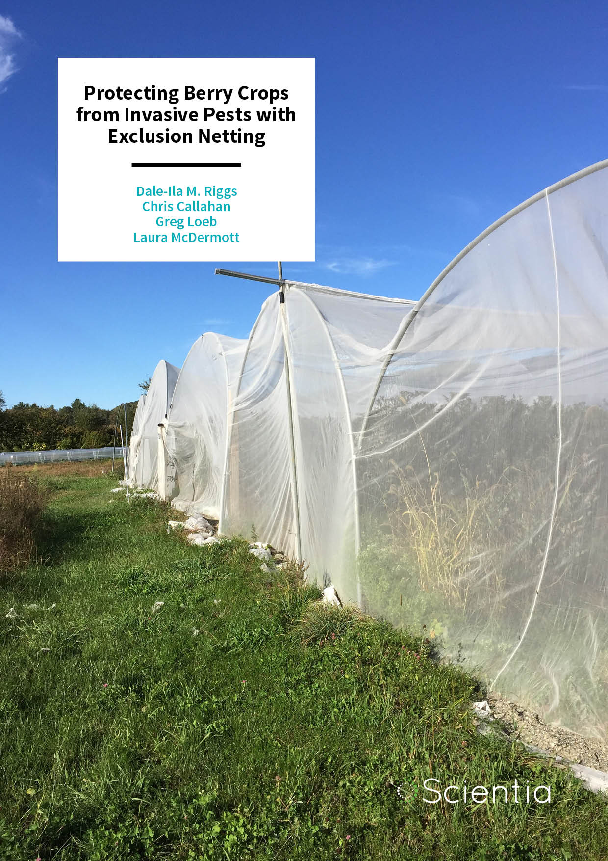 Dale-Ila Riggs | Protecting Berry Crops from Invasive Pests with Exclusion Netting