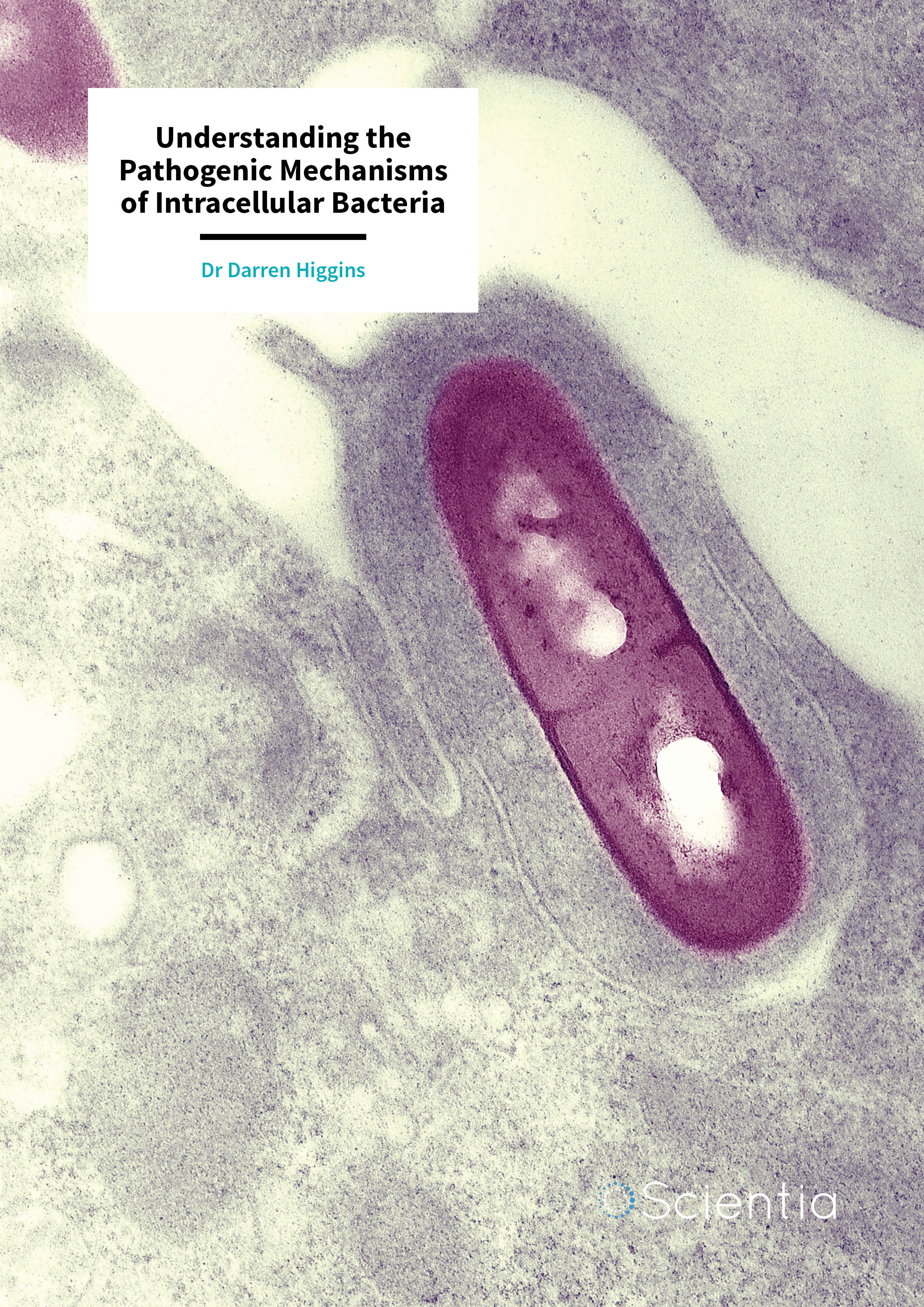 Dr Darren Higgins – Understanding the Pathogenic Mechanisms of Intracellular Bacteria