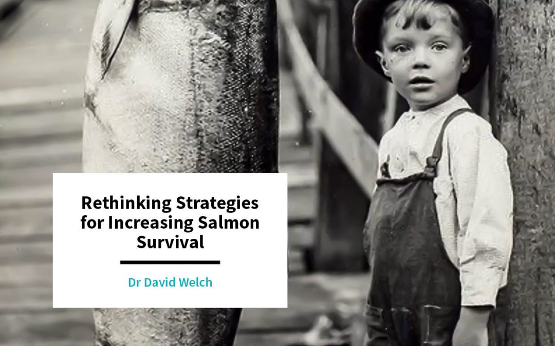 Dr David Welch – Rethinking Strategies for Increasing Salmon Survival