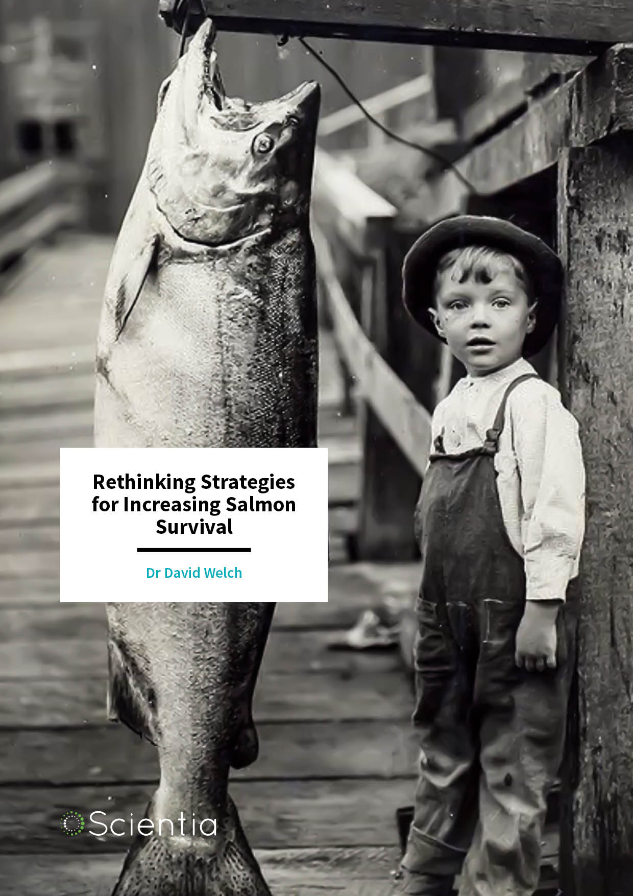 Dr David Welch – Rethinking Strategies for Increasing Salmon Survival