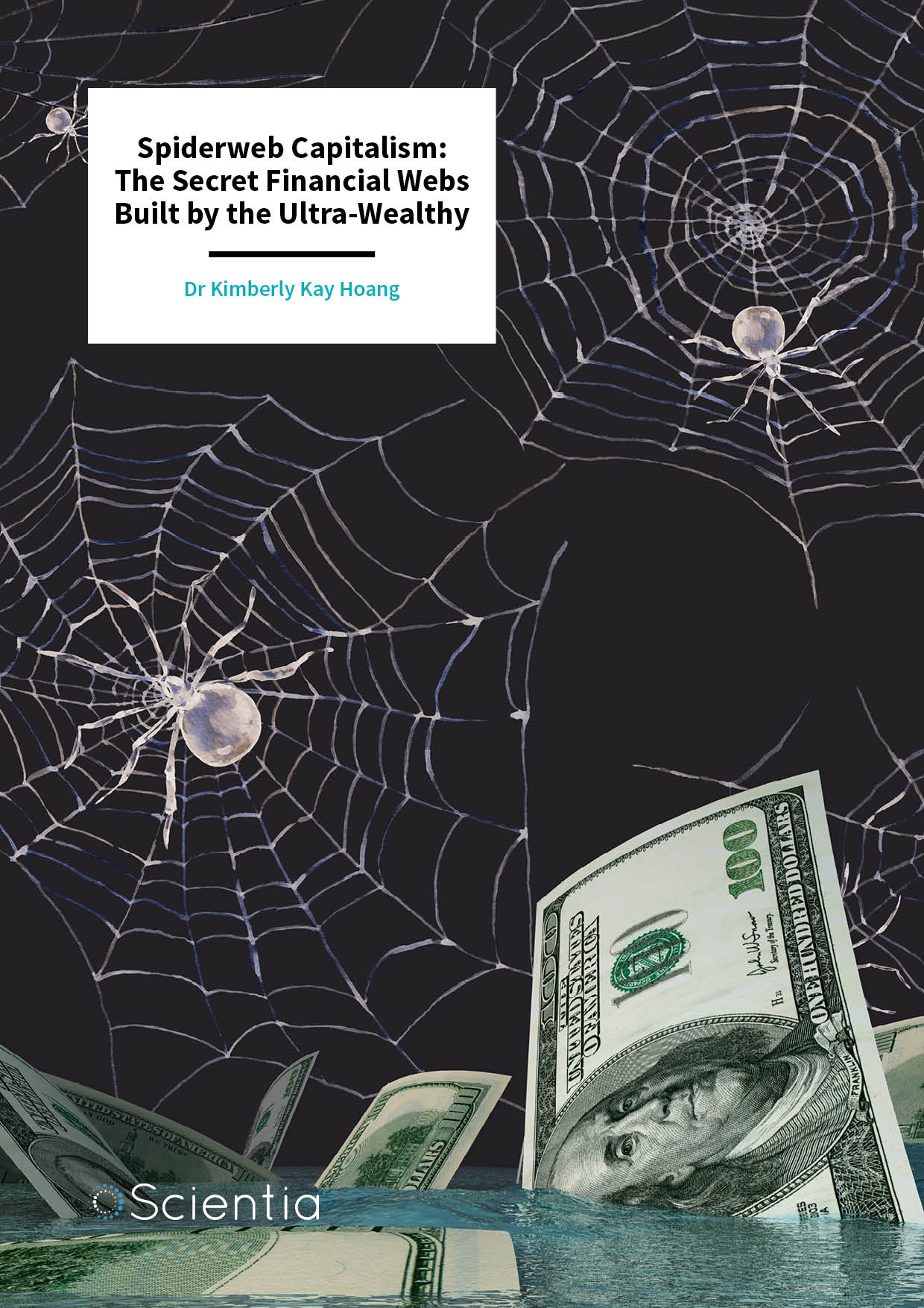 Dr Kimberly Kay Hoang | Spiderweb Capitalism: The Secret Financial Webs Built by the Ultra-Wealthy