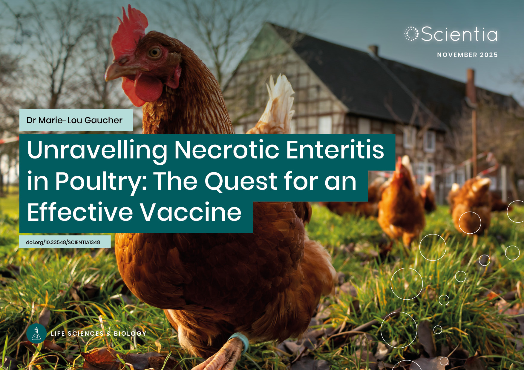 Dr Marie-Lou Gaucher | Unravelling Necrotic Enteritis in Poultry: The Quest for an Effective Vaccine