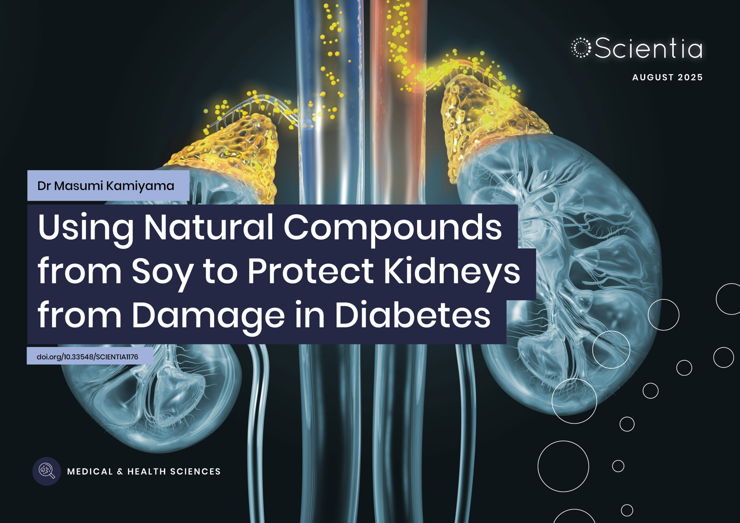 Dr Masumi Kamiyama | Using Natural Compounds from Soy to Protect Kidneys from Damage in Diabetes