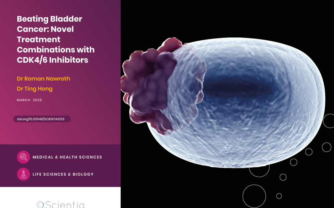 Beating Bladder Cancer: Novel Treatment Combinations with CDK4/6 Inhibitors