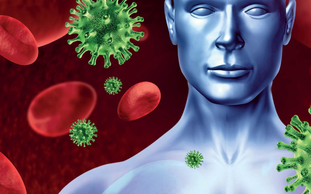 Dr Elke Glasmacher – Identifying Molecular Mechanisms Controlling Immune Cell Function
