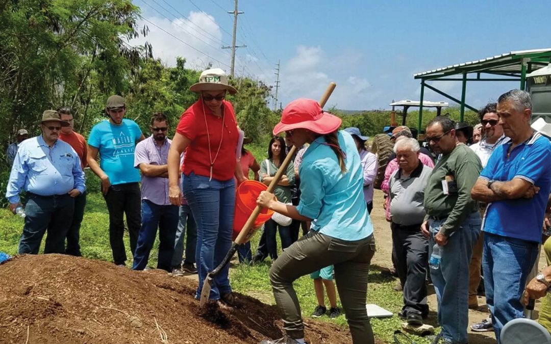 Dr Ermita Hernandez – Revitalising Puerto Rico Towards Sustainable Vegetable Production