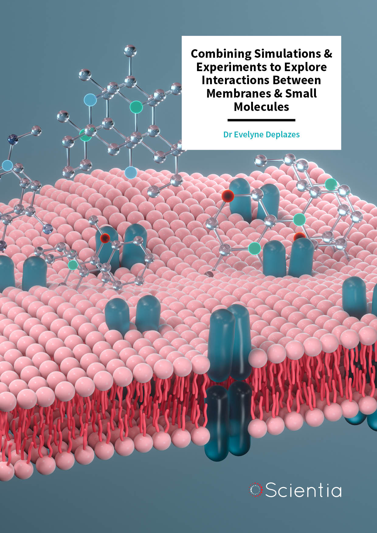 Dr Evelyne Deplazes – Combining Simulations & Experiments to Explore Interactions Between Membranes & Small Molecules