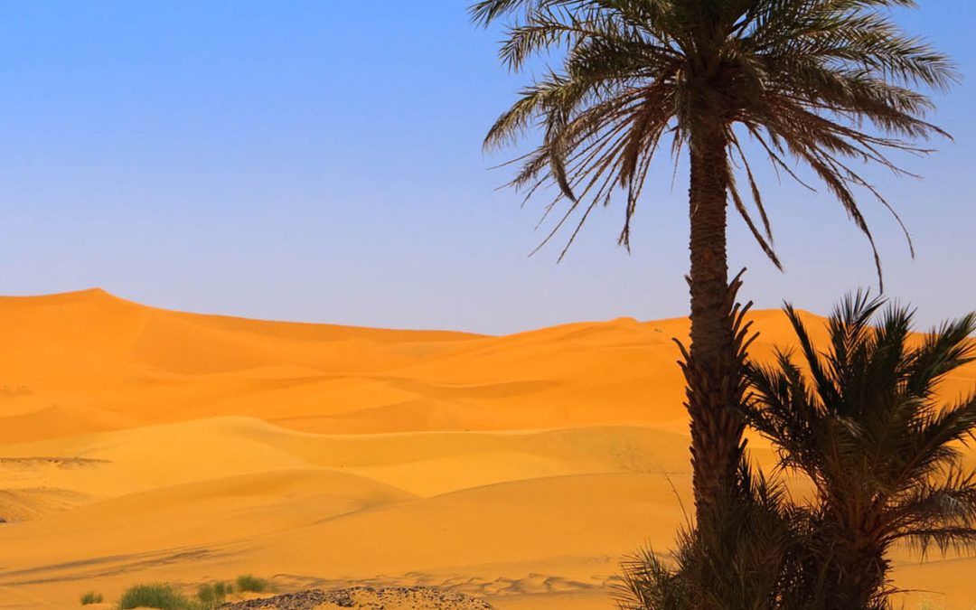 Dr Francesco Pausata – Exploring the Sahara Desert’s Past to Understand Its Future