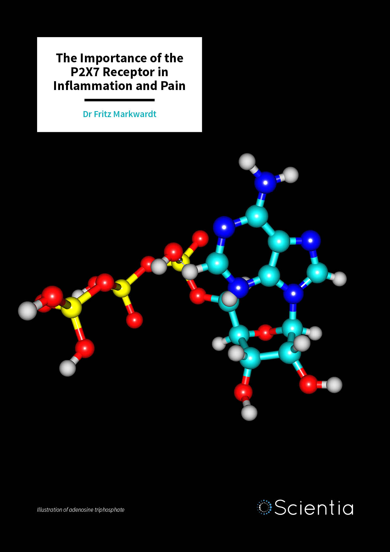 Dr Fritz Markwardt – The Importance of the P2X7 Receptor in Inflammation and Pain