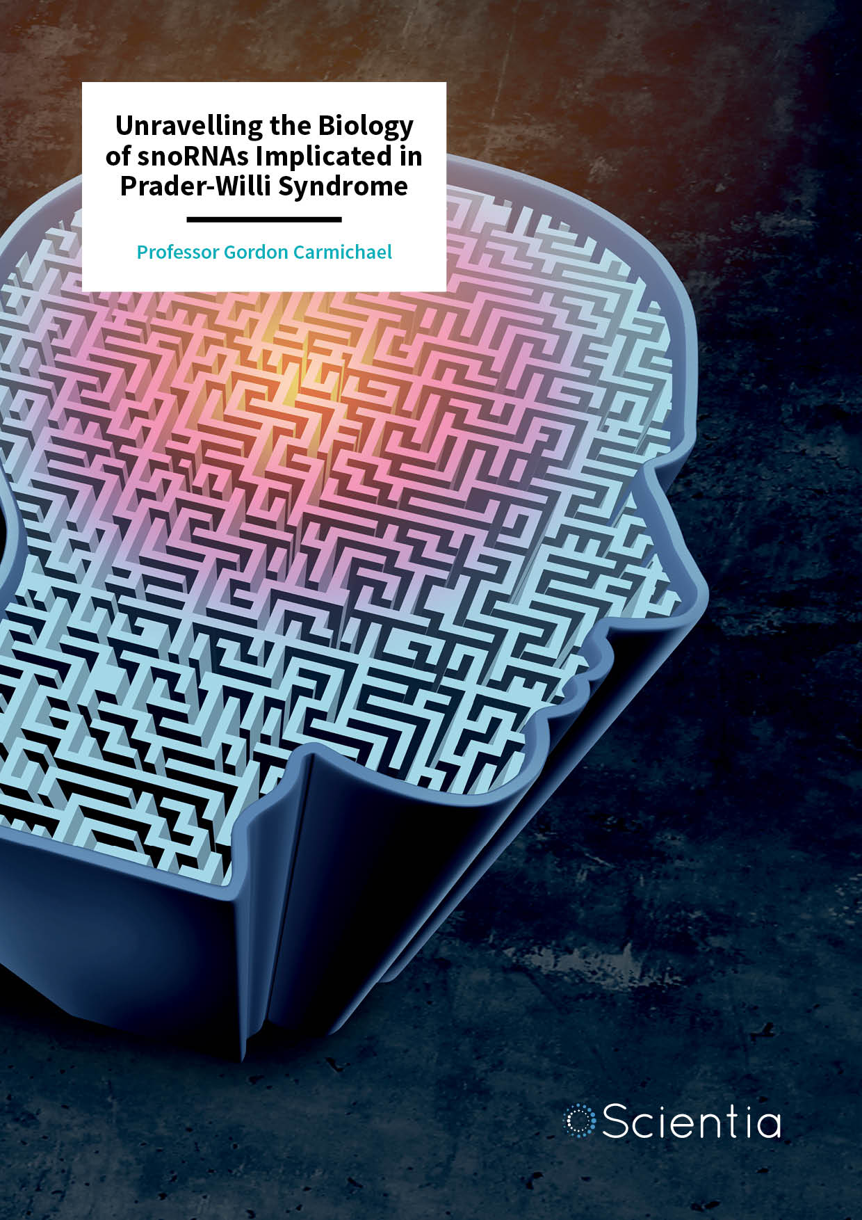 Professor Gordon Carmichael – Unravelling the Biology of snoRNAs Implicated in Prader-Willi Syndrome