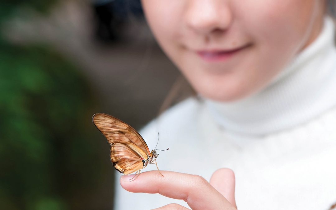 Professor Ingo Kowarik – Tackling the Urban Biodiversity Crisis