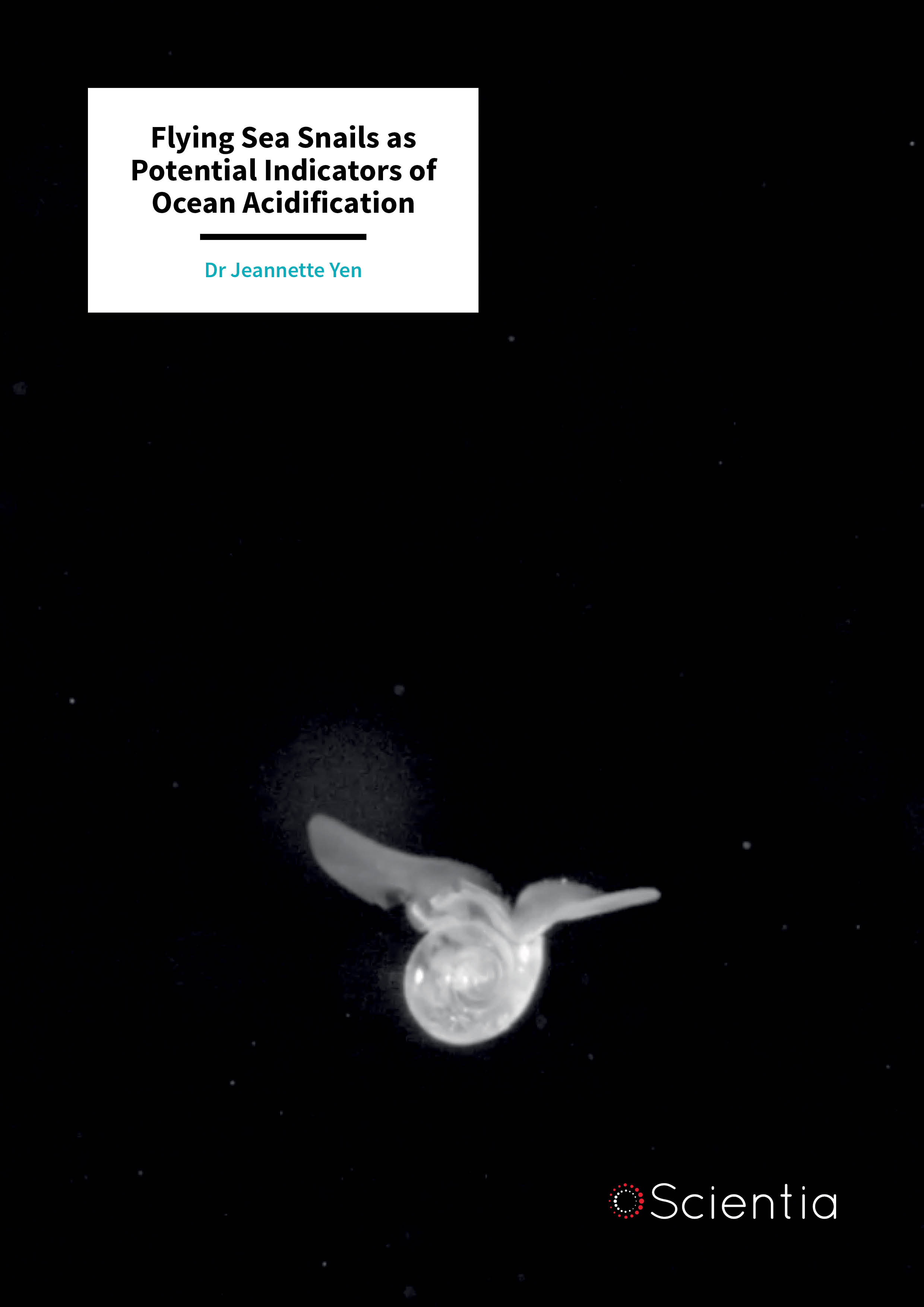 Dr Jeannette Yen – Flying Sea Snails as Potential Indicators of Ocean Acidification