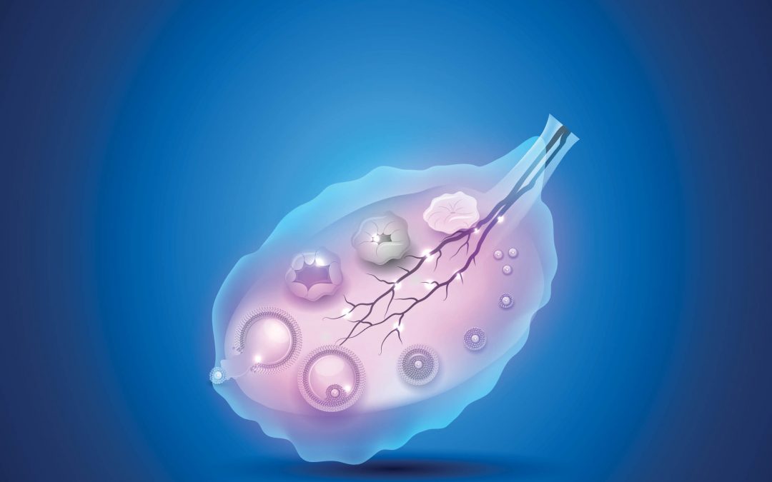 Dr Jennifer Hernandez Gifford – Uncovering New Signalling Pathways in Ovarian Function