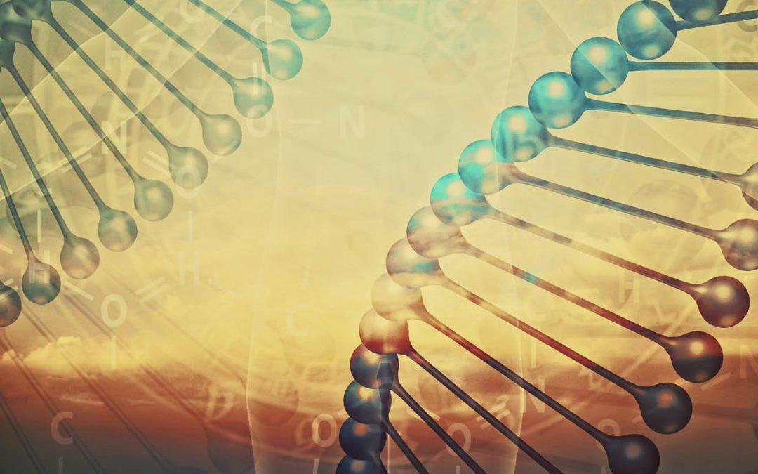 Dr Jin Yu – Remdesivir: Halting the Viral Replication of SARS-CoV-2