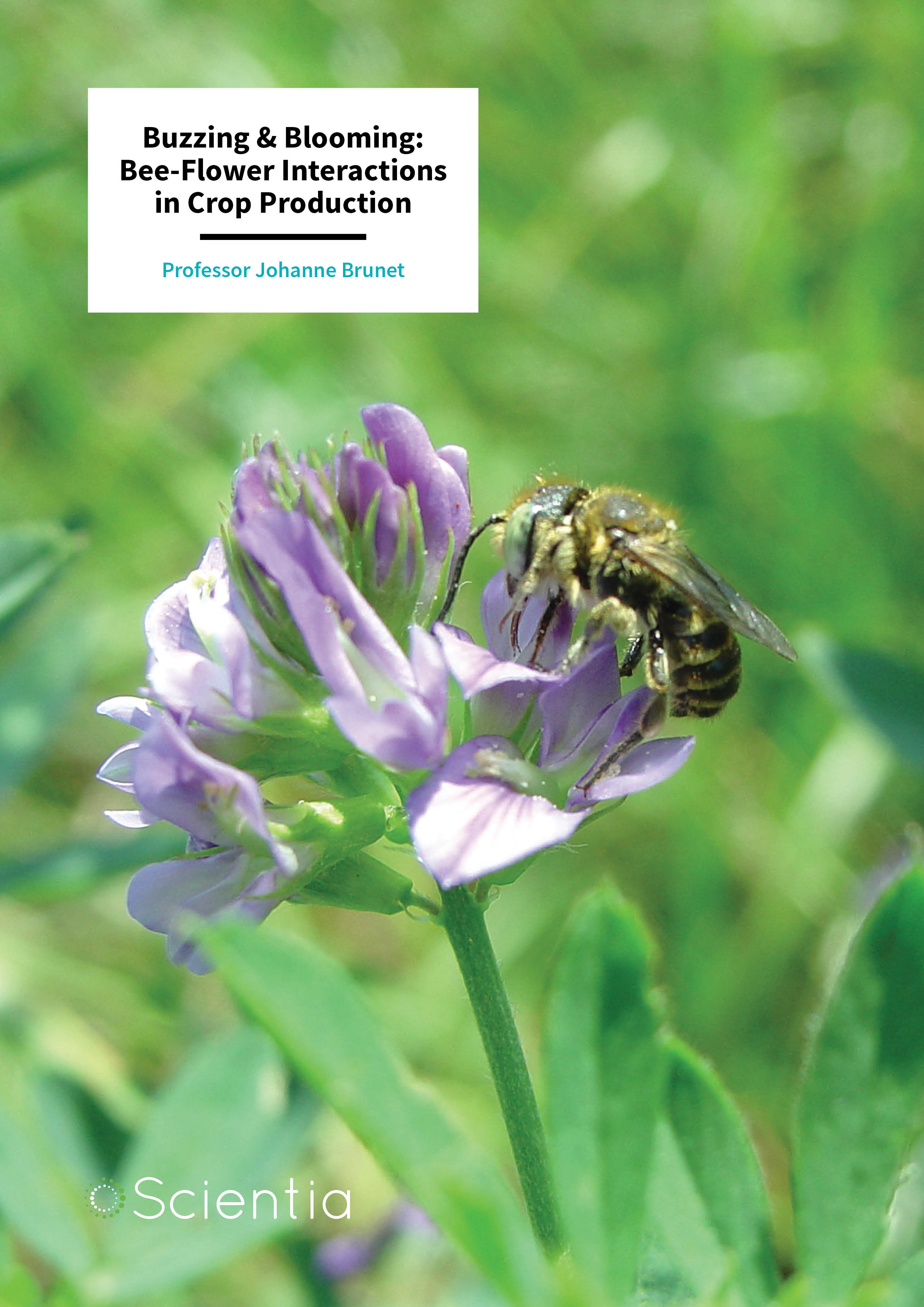 Dr Johanne Brunet – Buzzing & Blooming: Bee-Flower Interactions in Crop Production