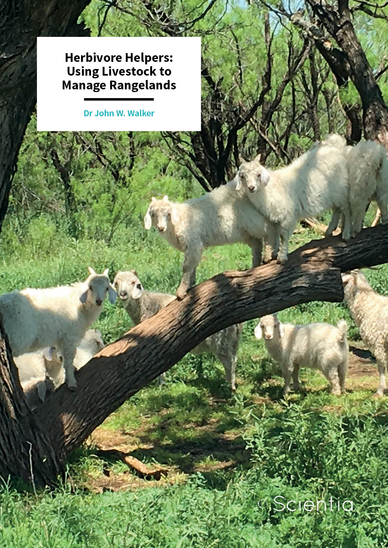 Dr John Walker – Herbivore Helpers: Using Livestock to Manage Rangelands
