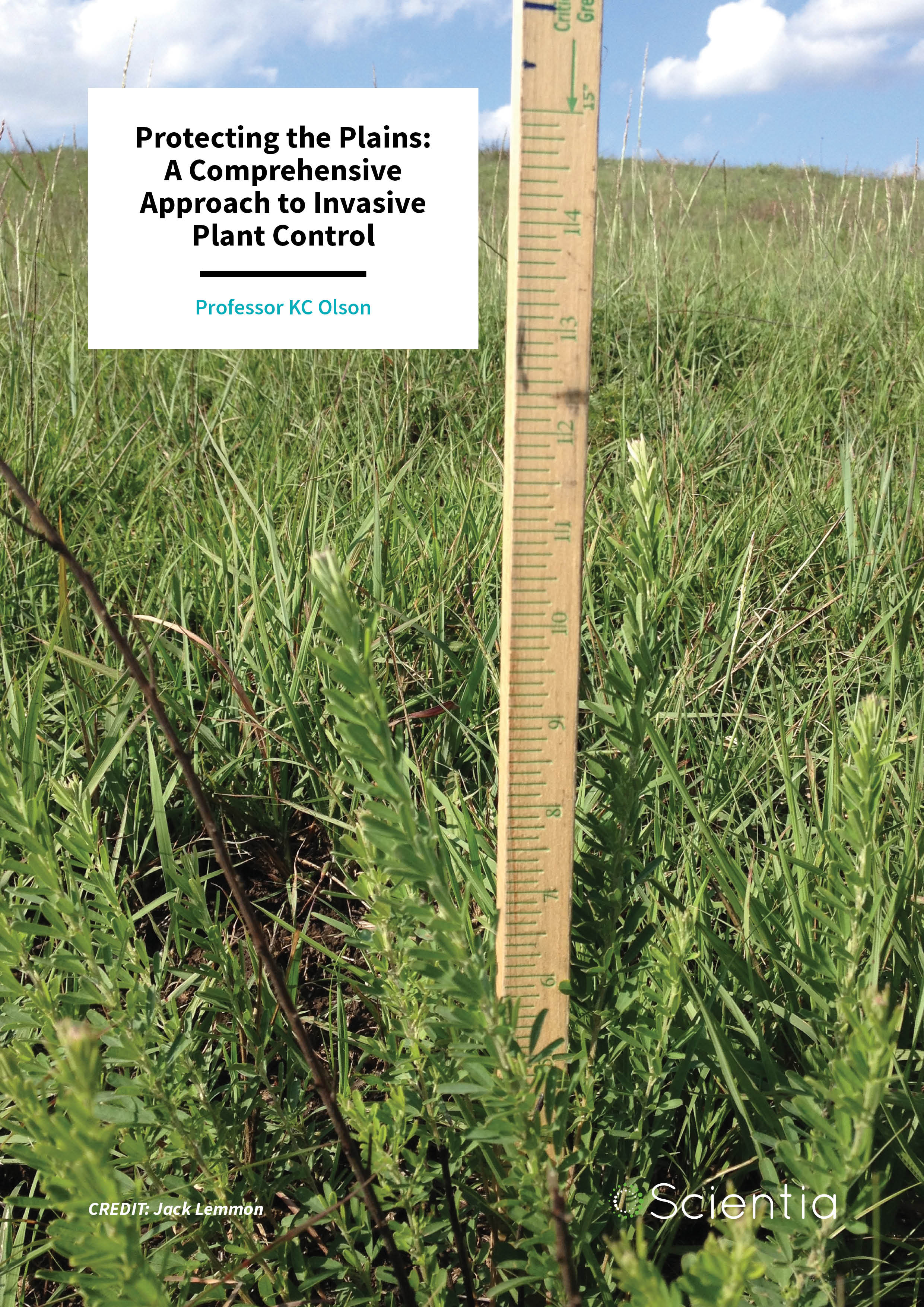 Professor KC Olson – Protecting the Plains: A Comprehensive Approach to Invasive Plant Control