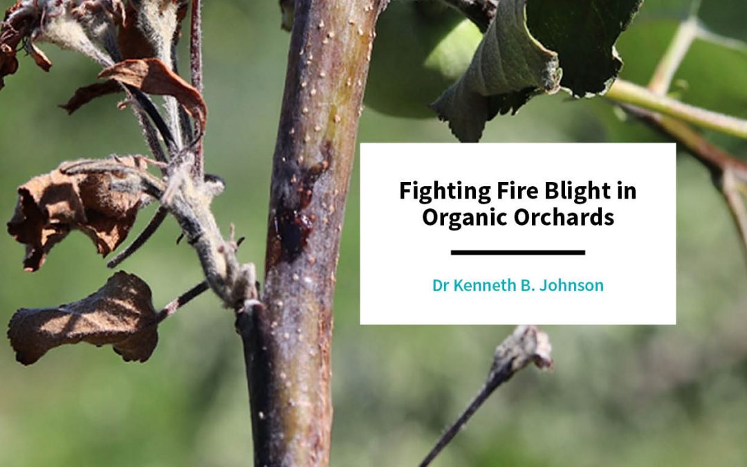 Dr Kenneth Johnson – Fighting Fire Blight in Organic Orchards