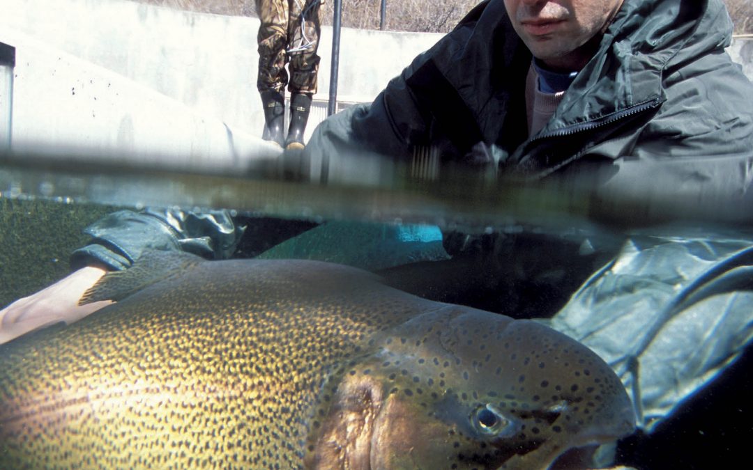 Dr Ken Overturf – Securing a Sustainable Future for Aquaculture