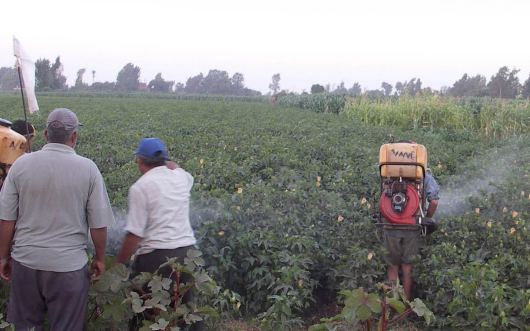 Dr W. Kent Anger | Dr Fayssal M. Farahat | Dr Pamela J. Lein | Dr Diane S. Rohlman – Establishing the Neurotoxic Impact of Chlorpyrifos Exposure in Workers