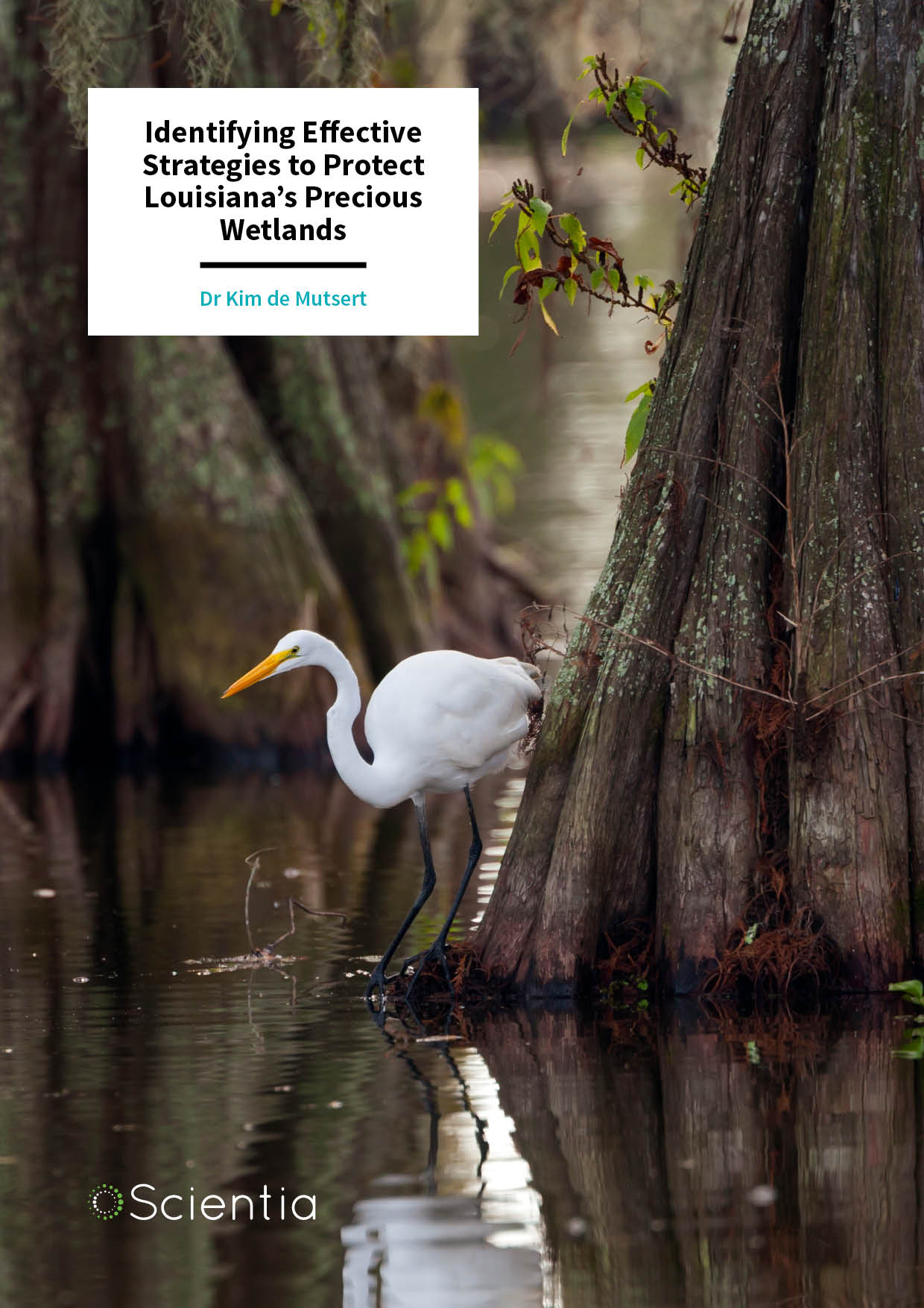 Dr Kim de Mutsert – Identifying Effective Strategies to Protect Louisiana’s Precious Wetlands