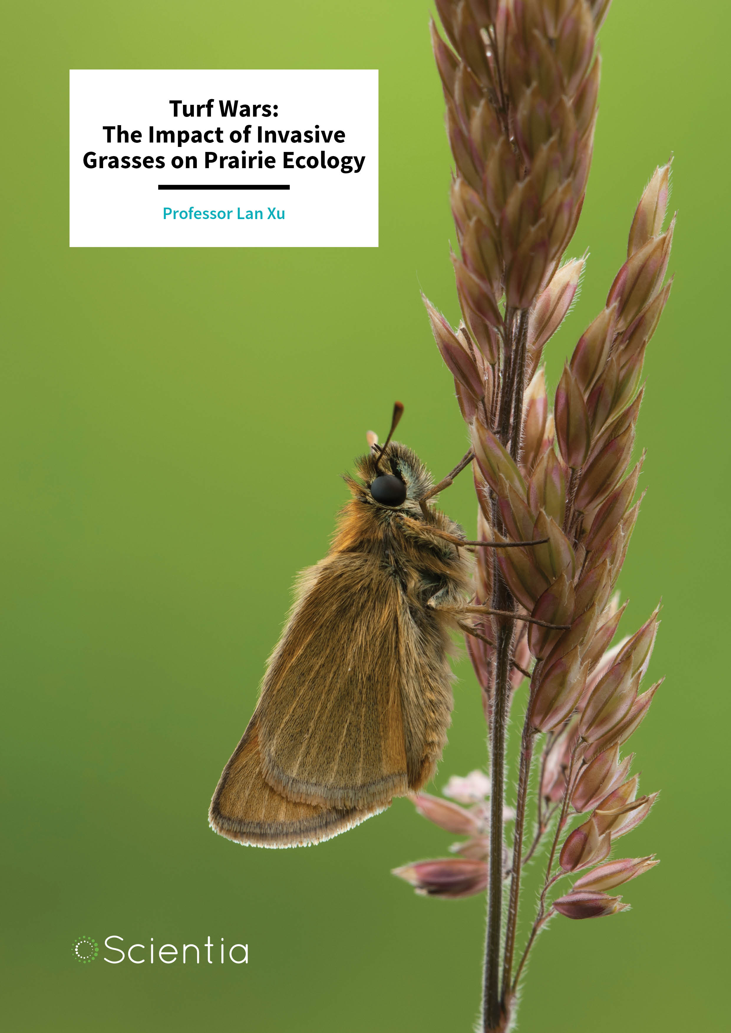 Professor Lan Xu – Turf Wars: The Impact of Invasive Grasses on Prairie Ecology