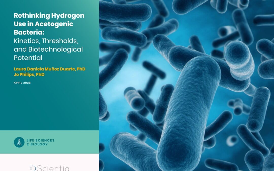 Laura Daniela Muñoz Duarte – Jo Philips | Rethinking Hydrogen Use in Acetogenic Bacteria: Kinetics, Thresholds, and Biotechnological Potential