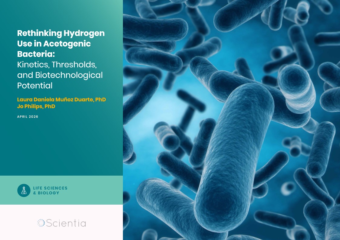 Laura Daniela Muñoz Duarte – Jo Philips | Rethinking Hydrogen Use in Acetogenic Bacteria: Kinetics, Thresholds, and Biotechnological Potential