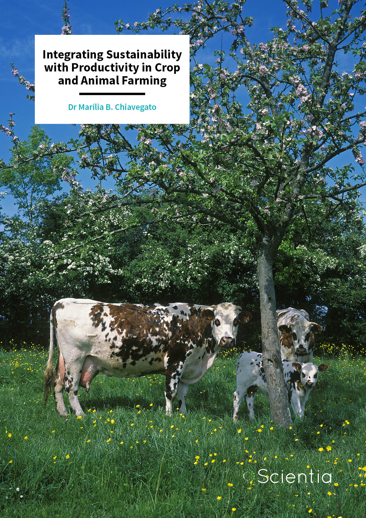 Dr Marília Chiavegato – Integrating Sustainability with Productivity in Crop and Animal Farming