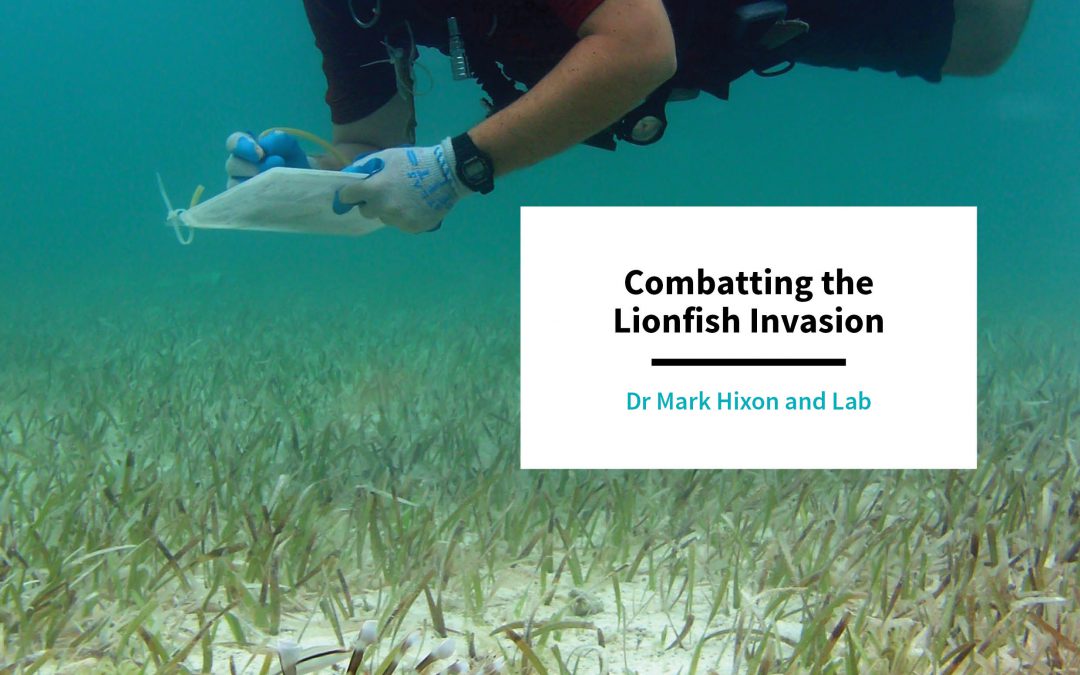 Dr Mark Hixon – Combatting the Lionfish Invasion