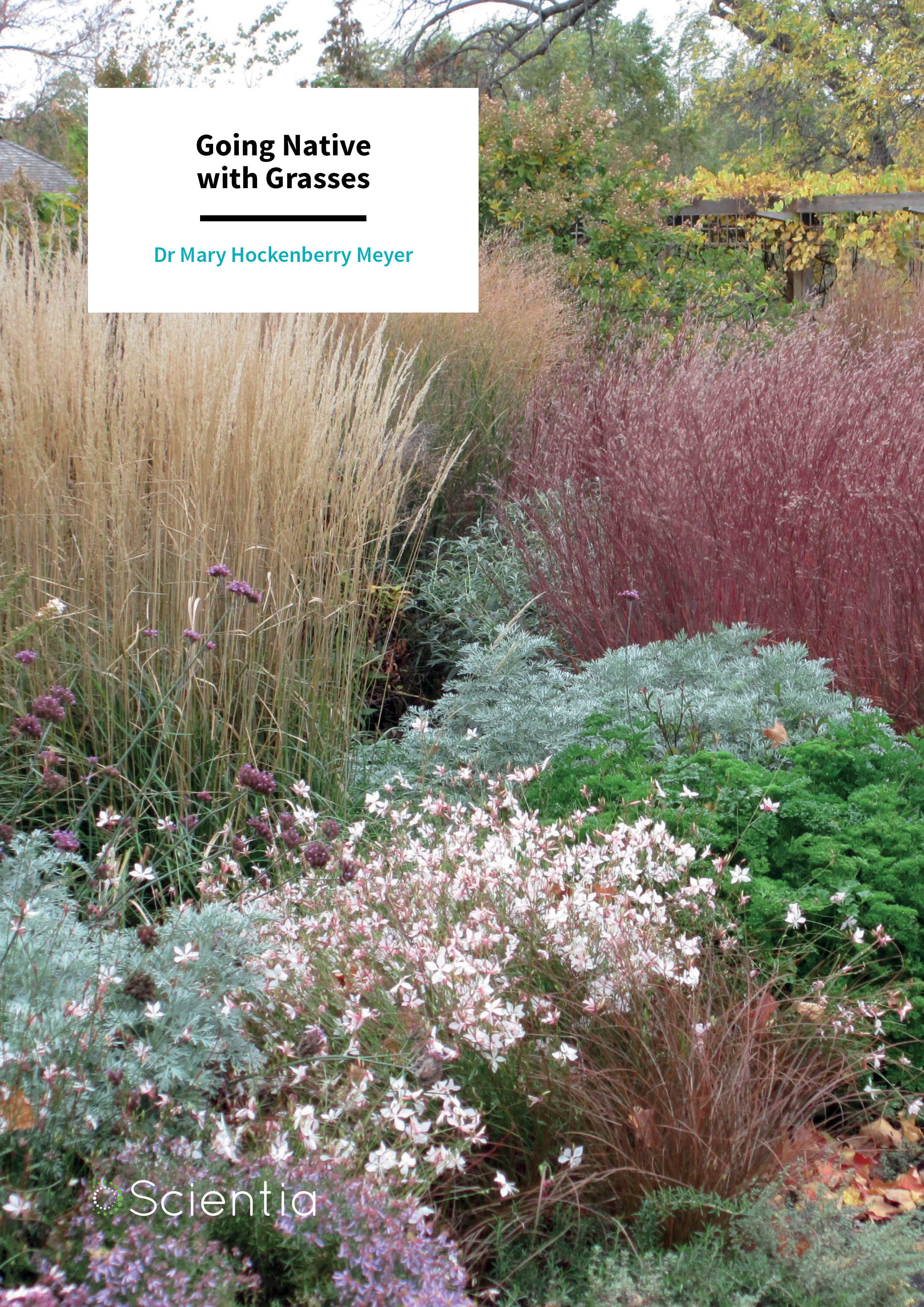 Dr Mary Meyer – Going Native with Grasses