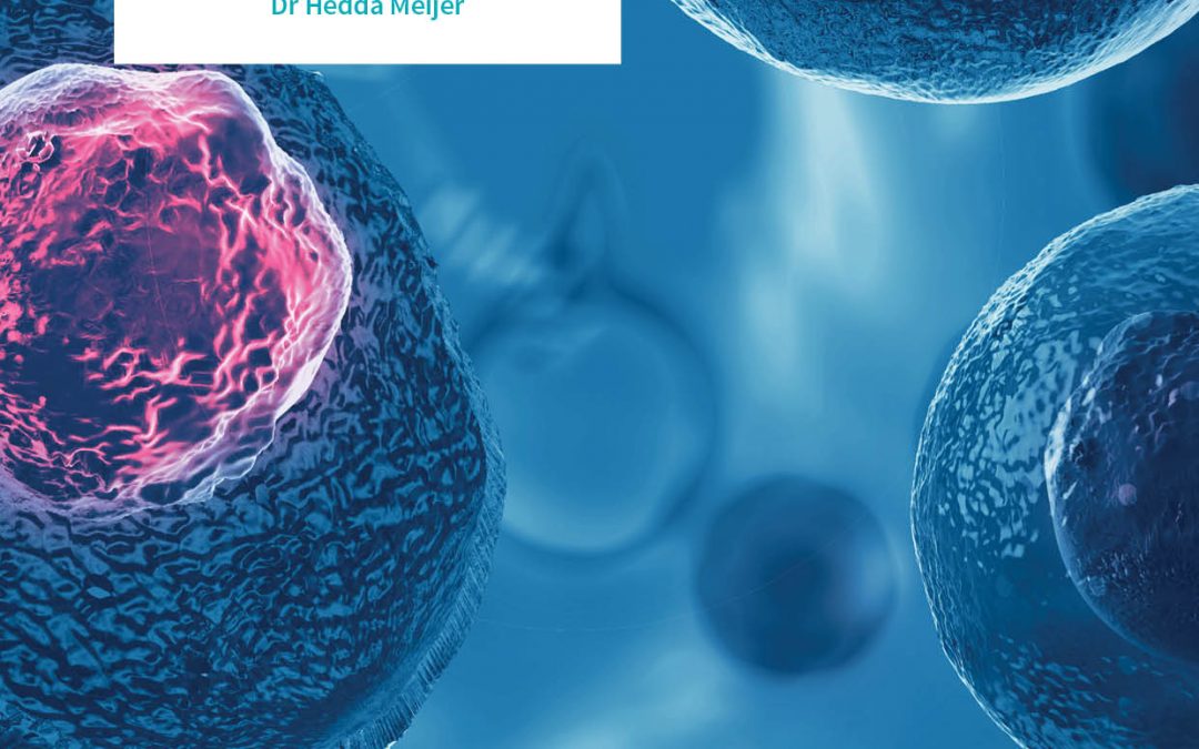 Professor Kim Dale | Dr Hedda Meijer – The Role of Notch Signalling within the Molecular Clock in the Early Development of the Skeleton