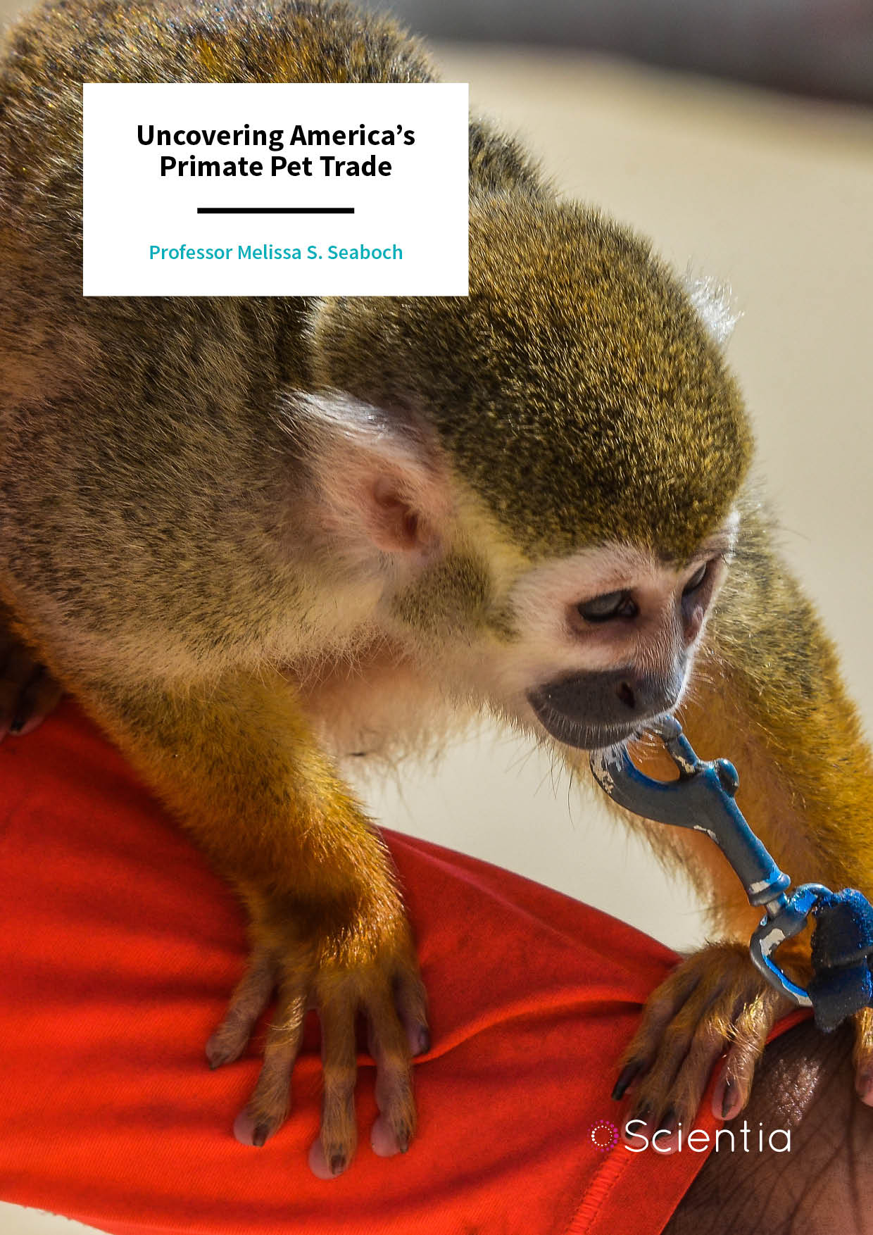 Dr. Melissa Seaboch | Uncovering America’s Primate Pet Trade