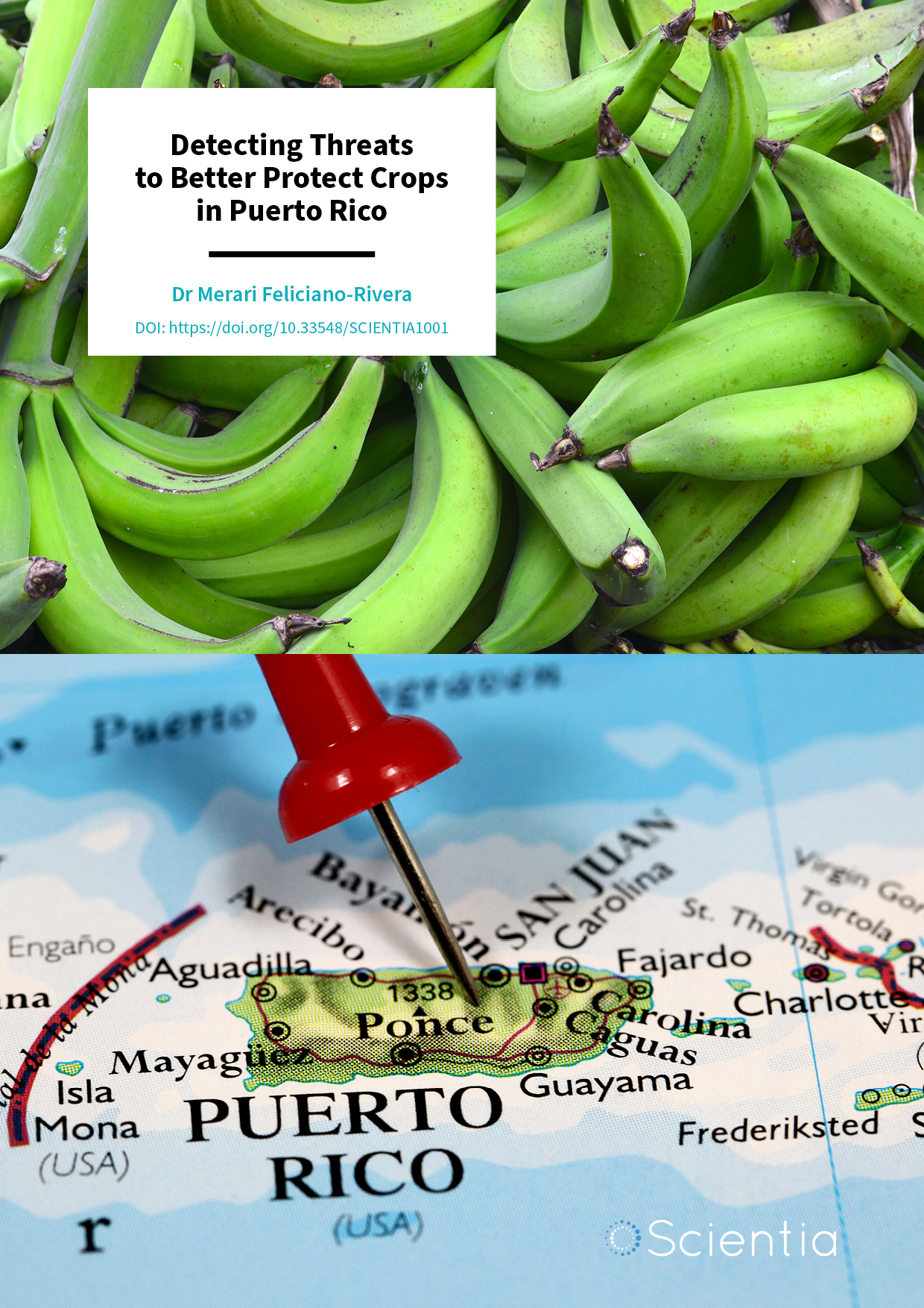 Dr Merari Feliciano-Rivera | Detecting Threats to Better Protect Crops in Puerto Rico