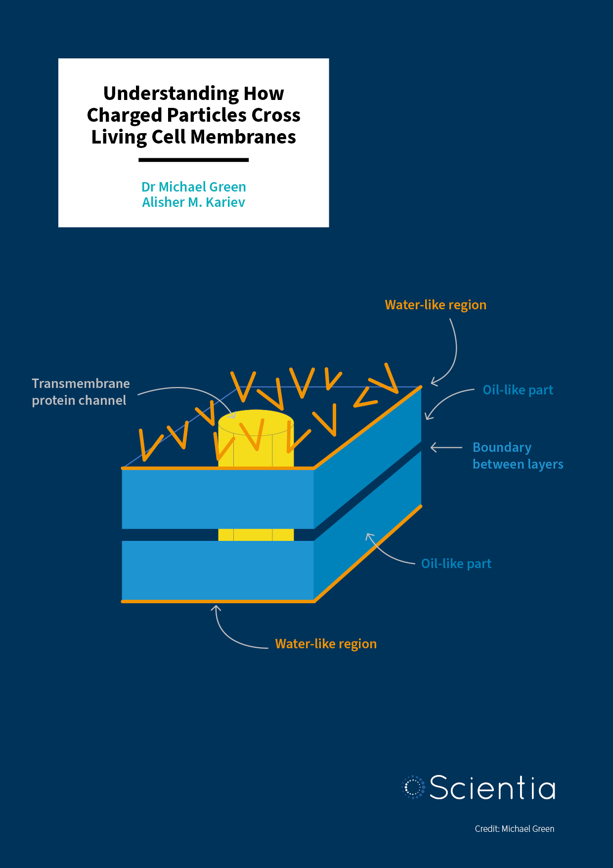 Dr Michael E. Green – Alisher M. Kariev | Understanding How Charged Particles Cross Living Cell Membranes