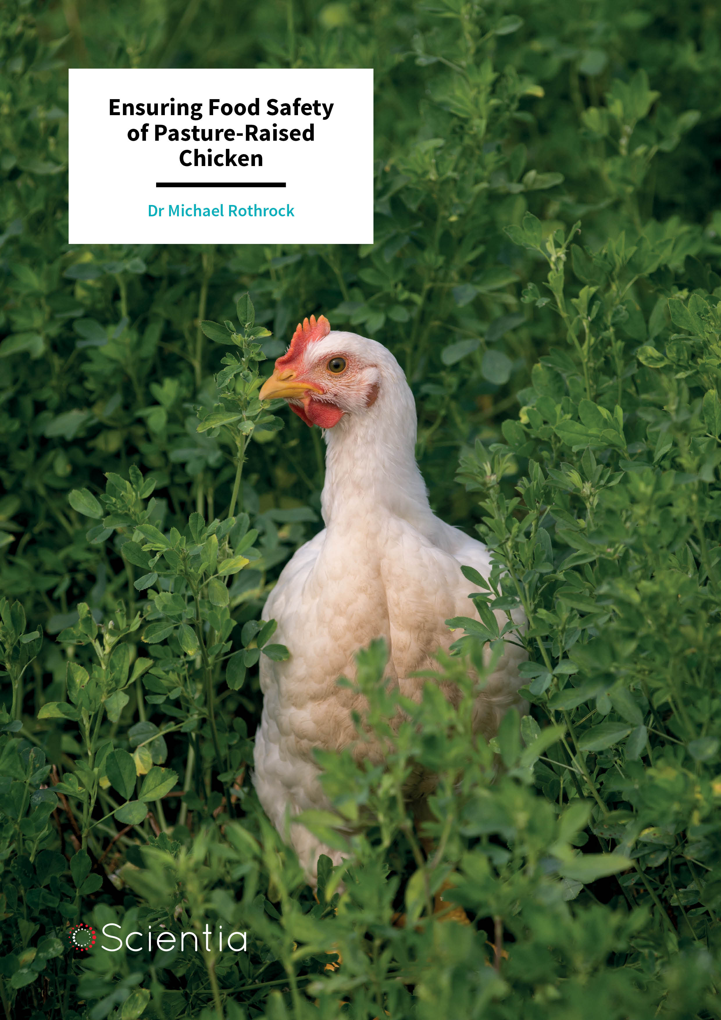 Dr Michael Rothrock – Ensuring Food Safety of Pasture-Raised Chicken