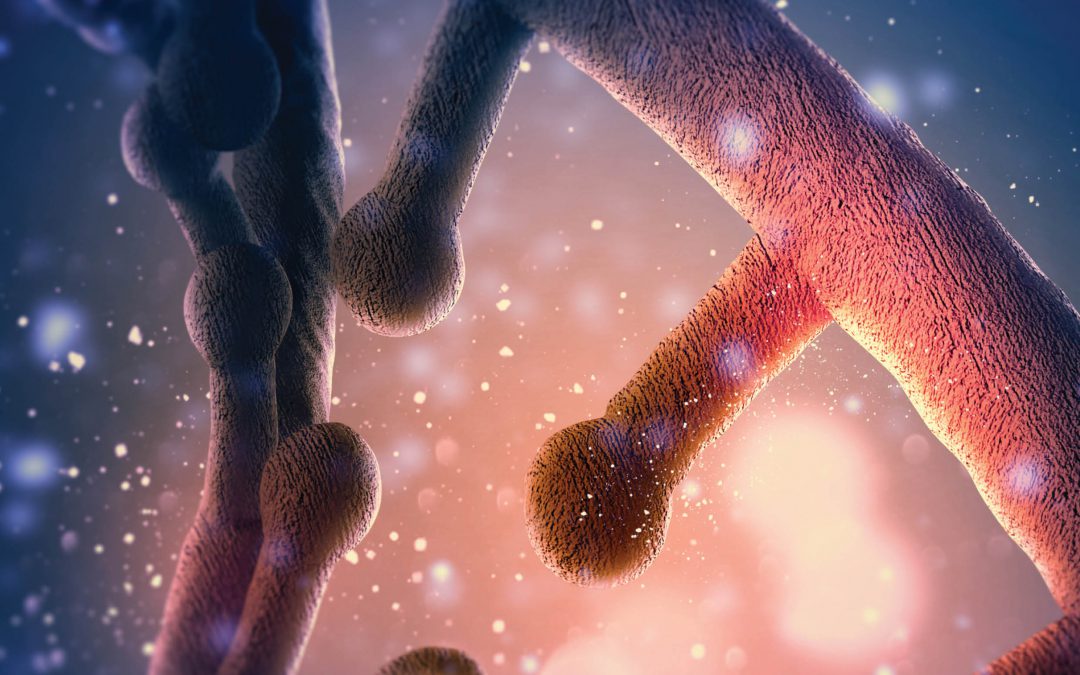 Professor Michael O’Donnell – The Incredible Ways of DNA Replication