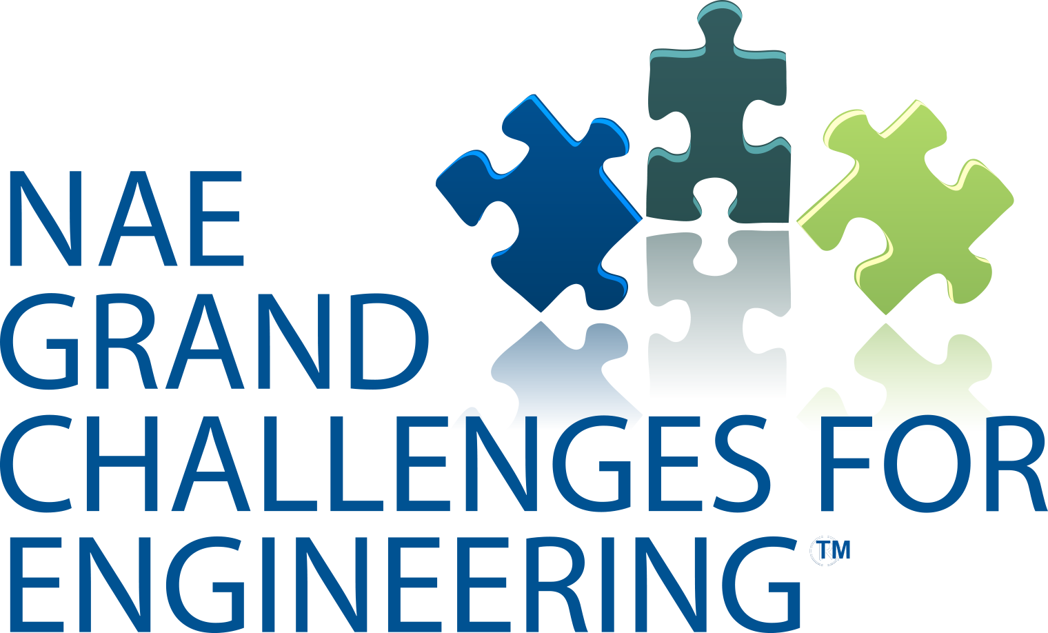 The US National Academy of Engineering • scientia.global