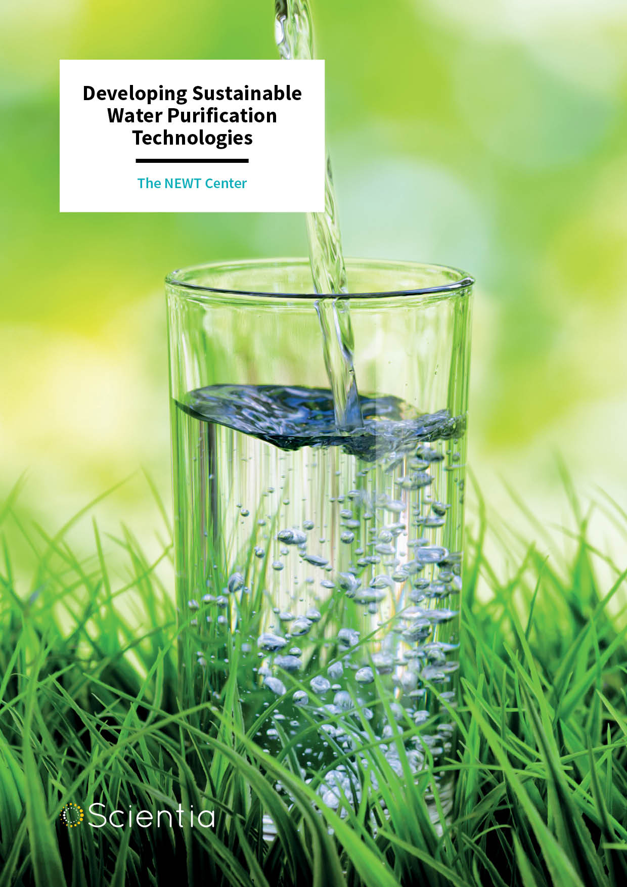 Developing Sustainable Water Purification Technologies