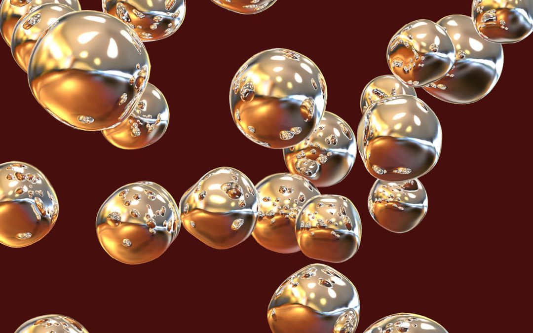 Dr Nicholas Mauro | Exploring How Metallic Glasses are Formed from Molten Alloys