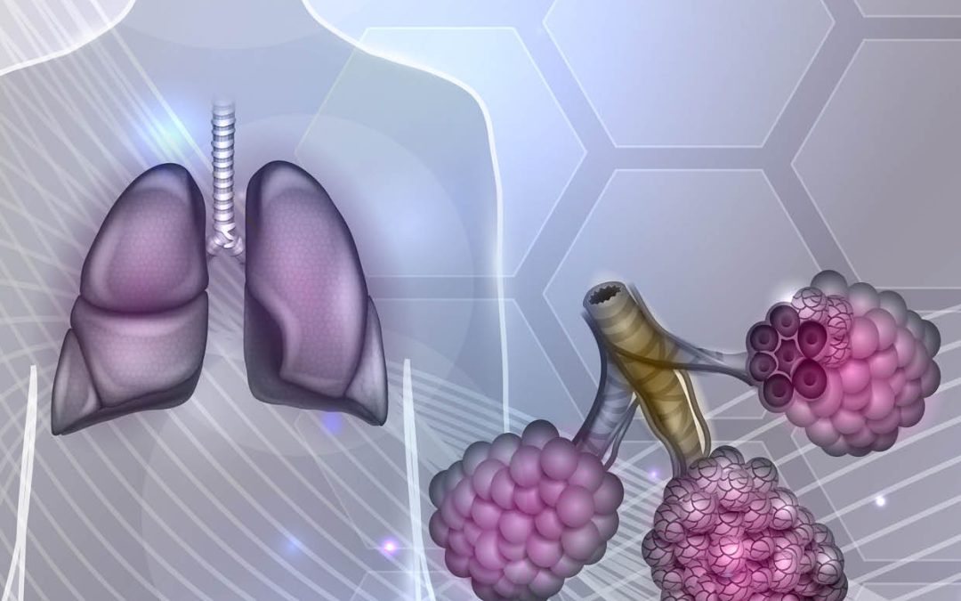 Professor Paige Lacy | Deciphering Novel Cytokine Secretion Mechanisms