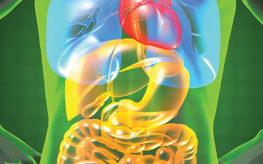 Professor Phillip Hylemon | Professor Huiping Zhou – Bile Acids Are Not Just for Digestion