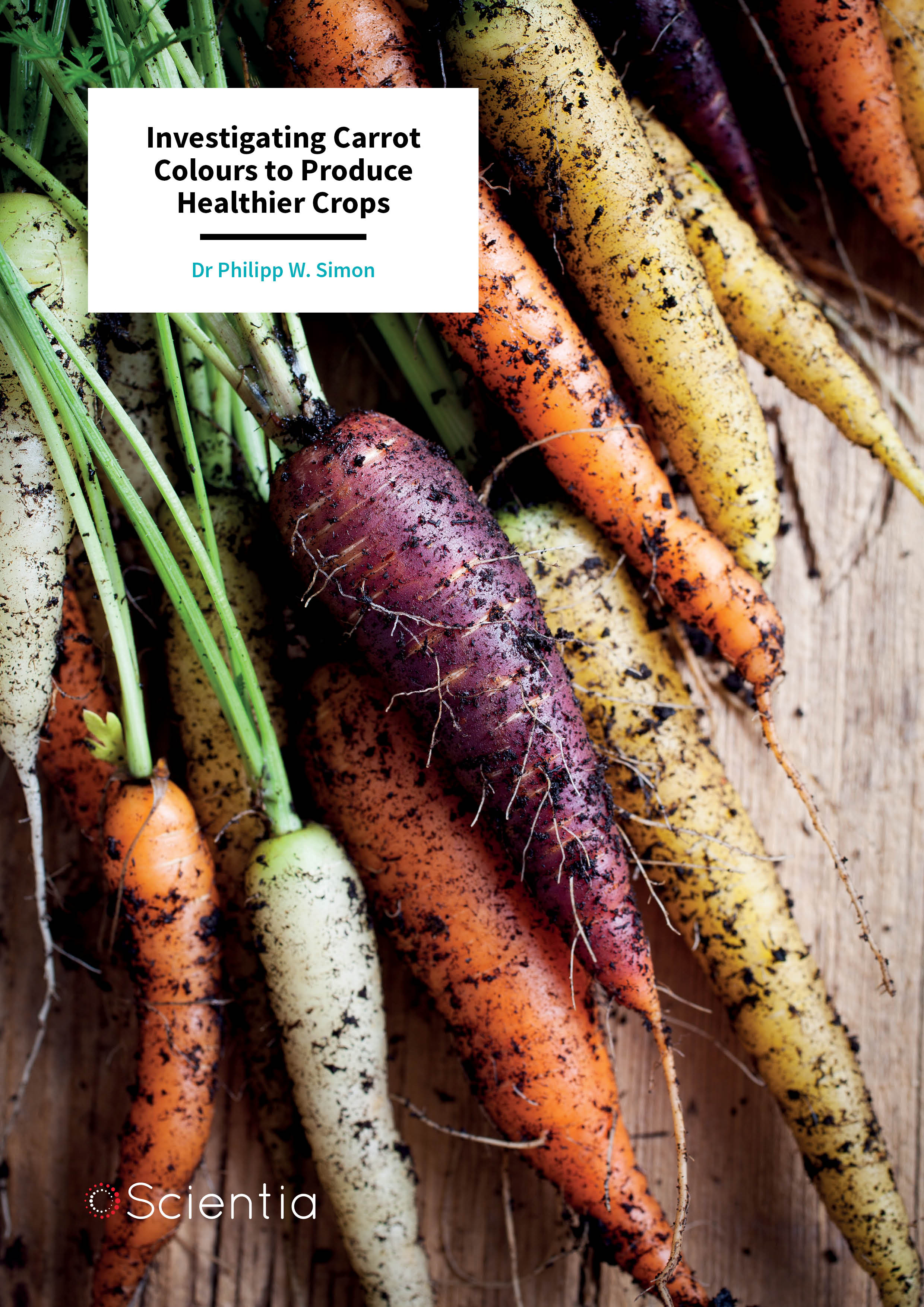 Dr Philipp Simon – Investigating Carrot Colours to Produce Healthier Crops