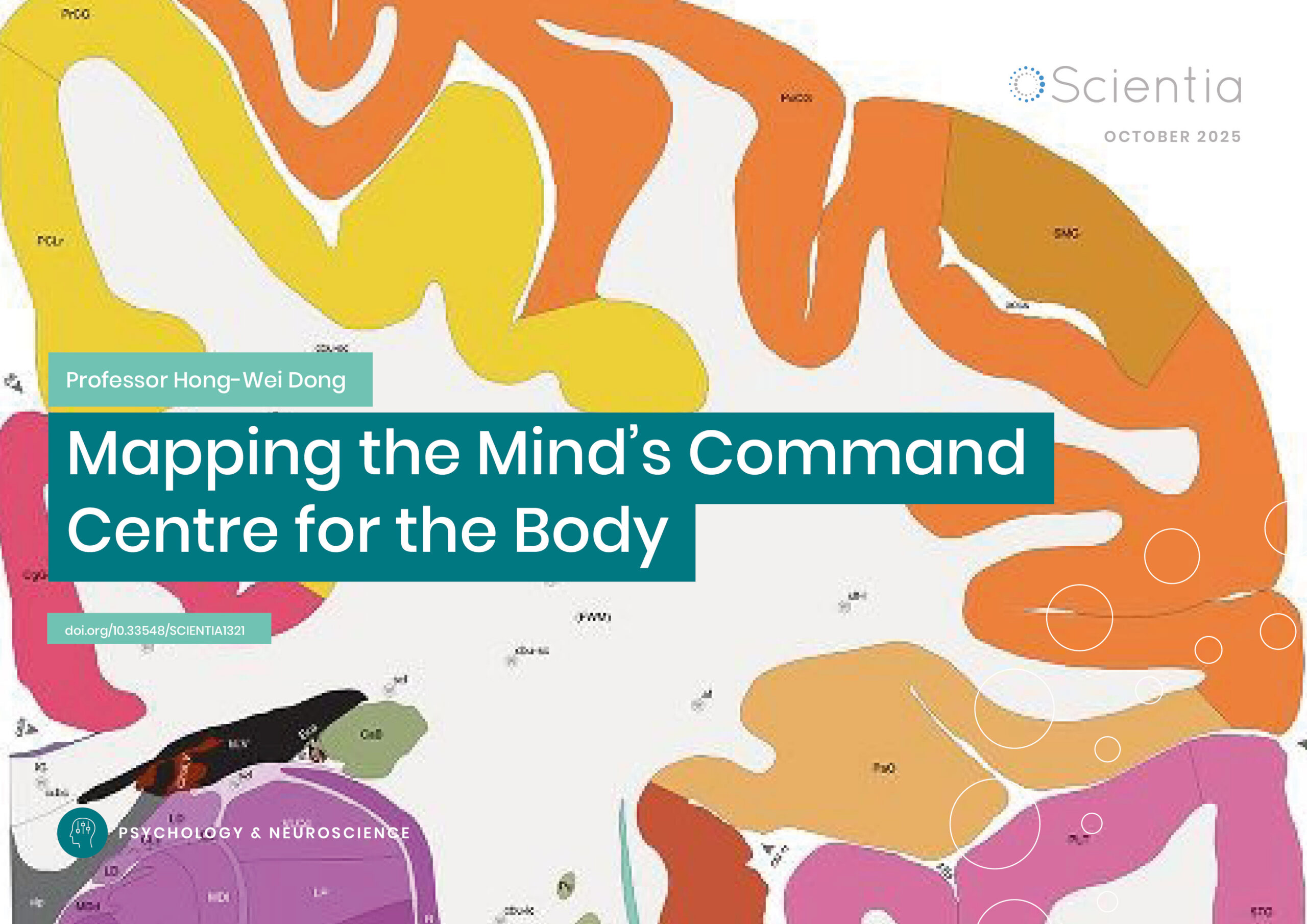 Professor Hong-Wei Dong | Mapping the Mind’s Command Centre for the Body