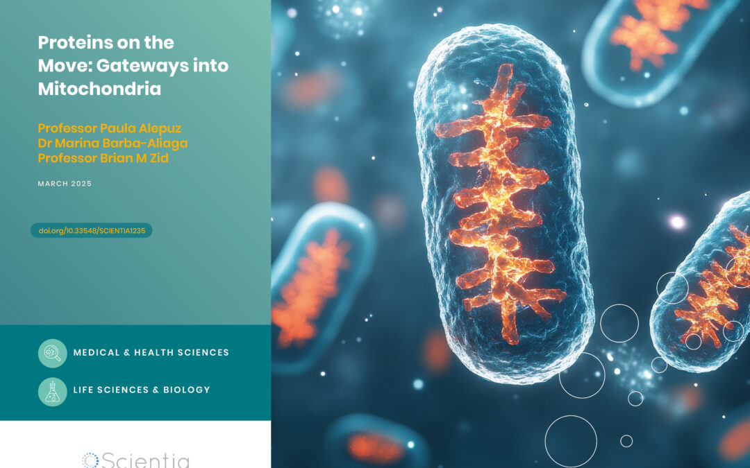 Proteins on the Move: Gateways into Mitochondria