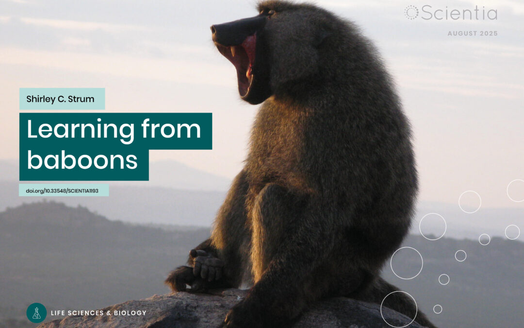 Shirley C. Strum | Learning from baboons