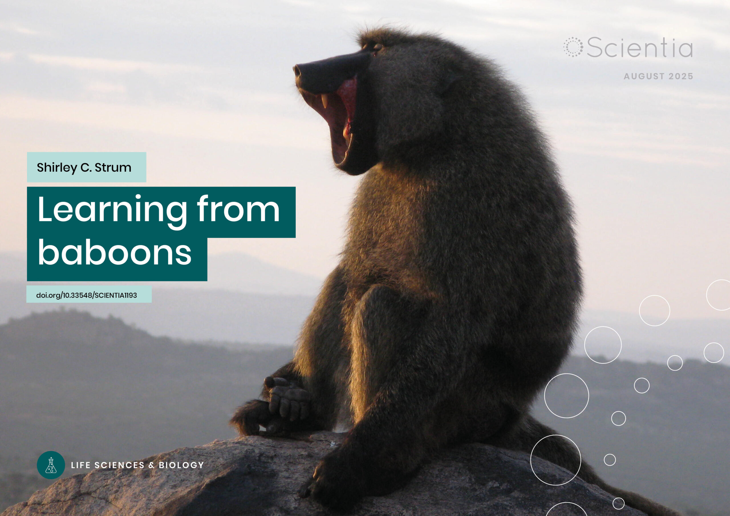 Shirley C. Strum | Learning from baboons