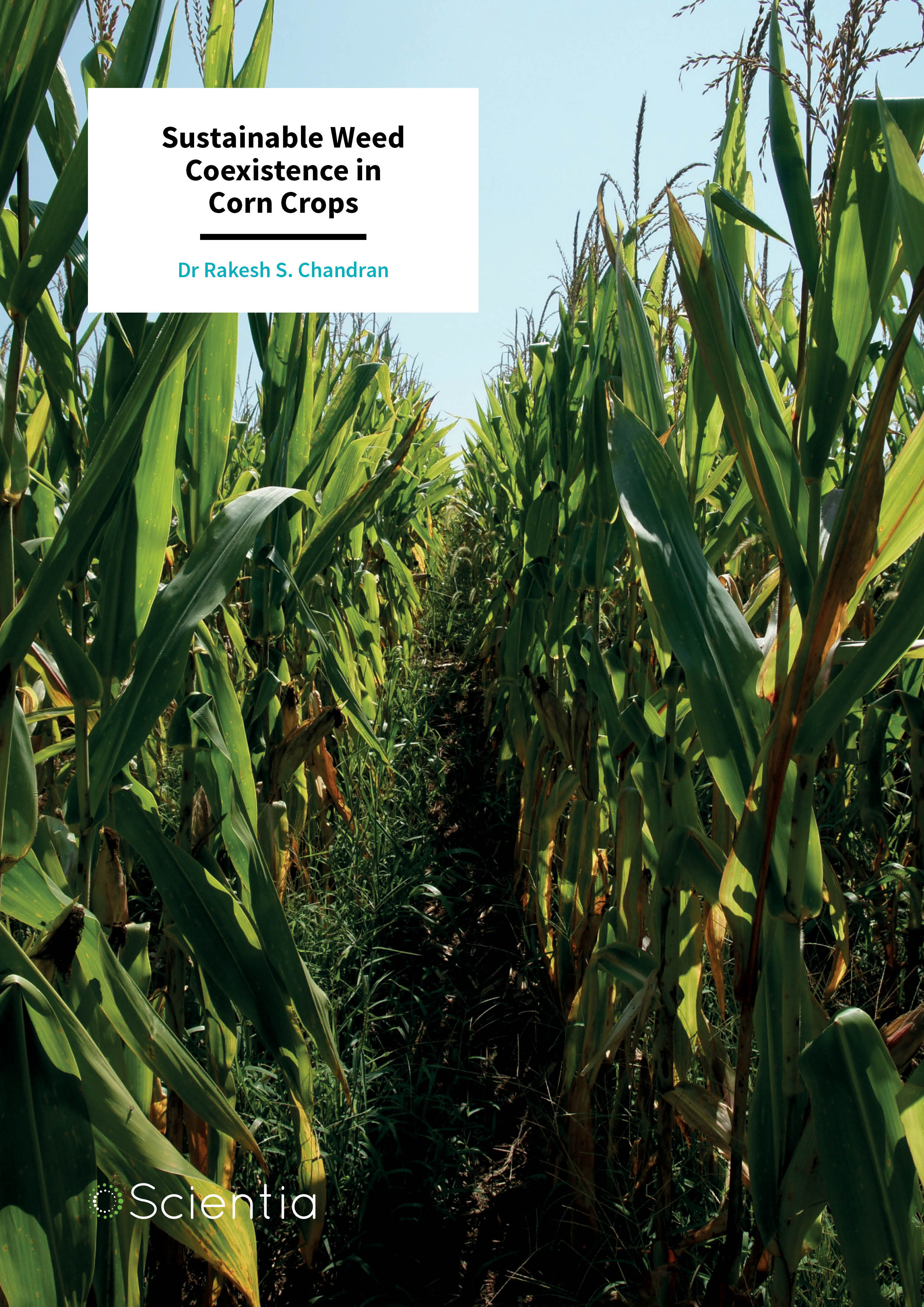 Dr Rakesh S. Chandran – Sustainable Weed Coexistence in Corn Crops