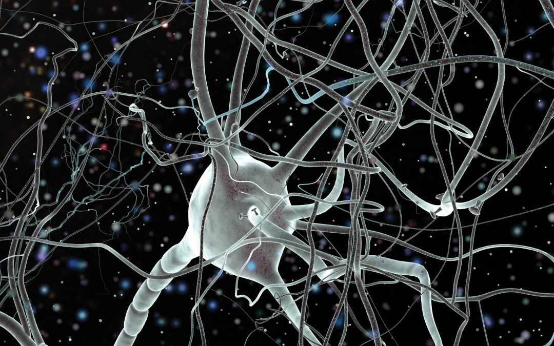 Professor Gerhard Rammes | Professor Rainer Rupprecht – The Translocator Protein: From Imaging Facility to Pharmacy