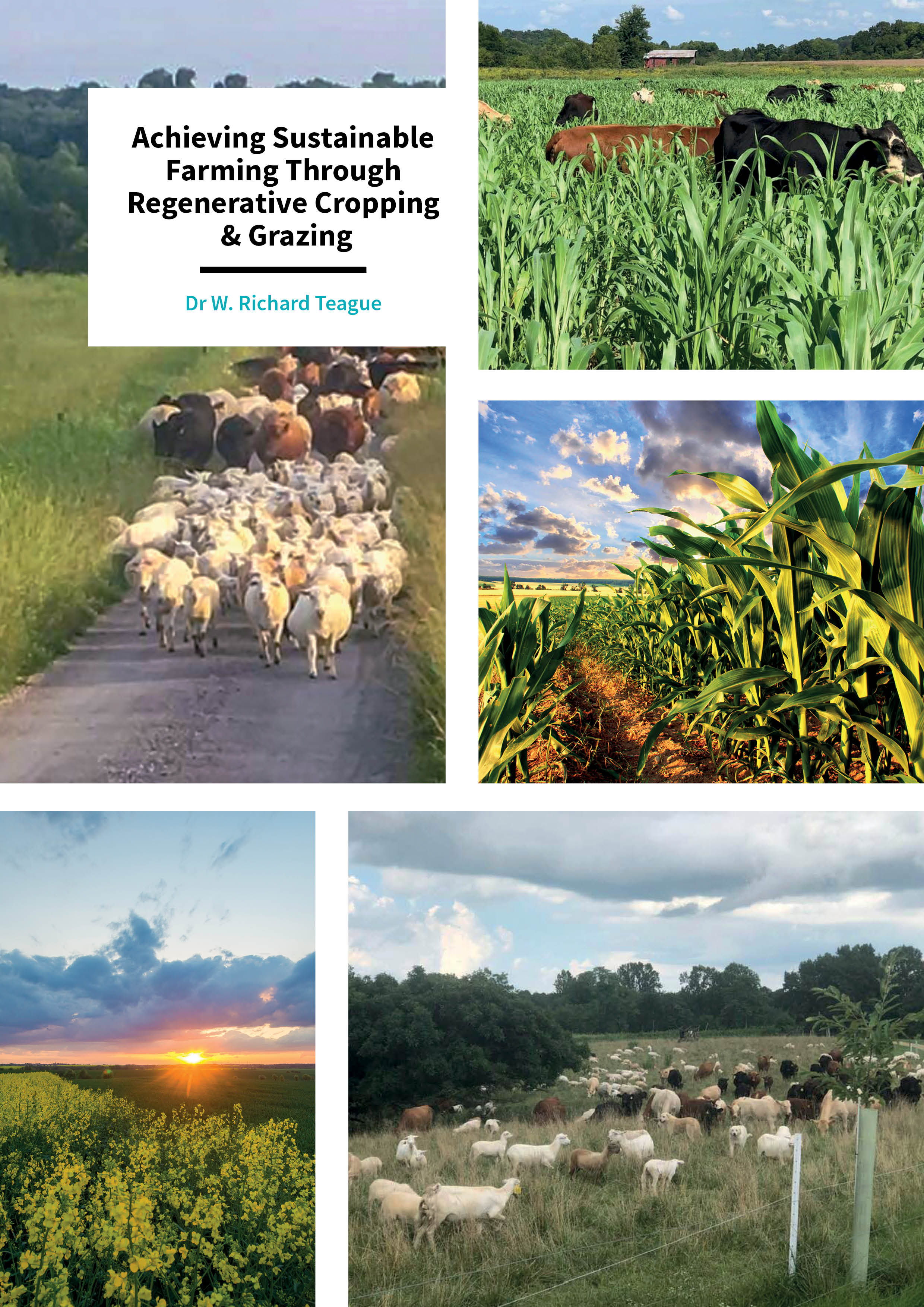 Dr Richard Teague – Achieving Sustainable Farming Through Regenerative Cropping & Grazing